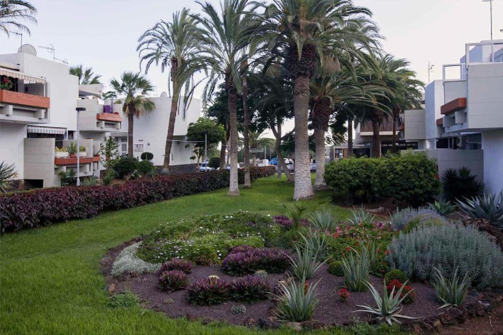 Tenerife Primavera アロナ エクステリア 写真